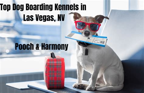 kennels in las vegas.